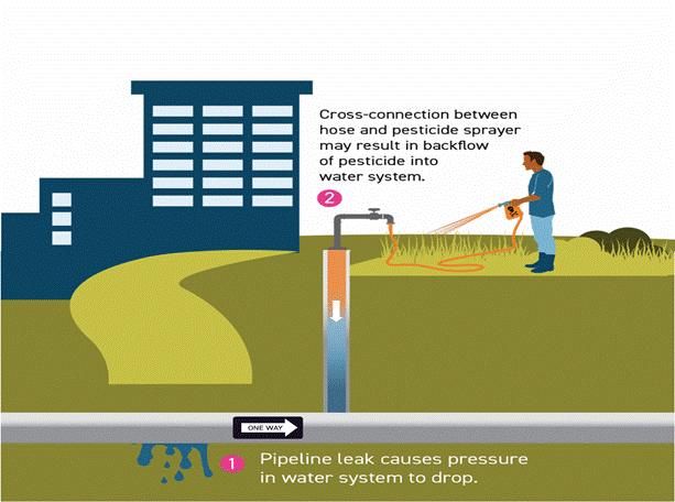 A person spraying a hose

AI-generated content may be incorrect.